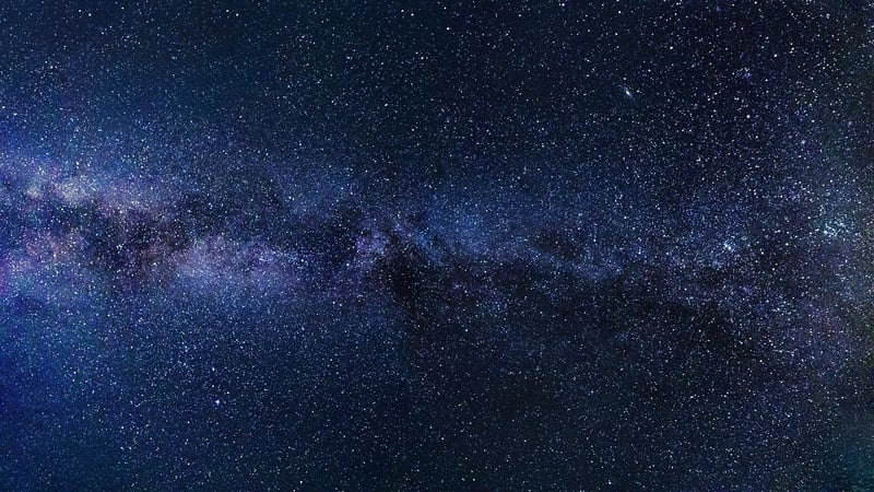Starlit Skies